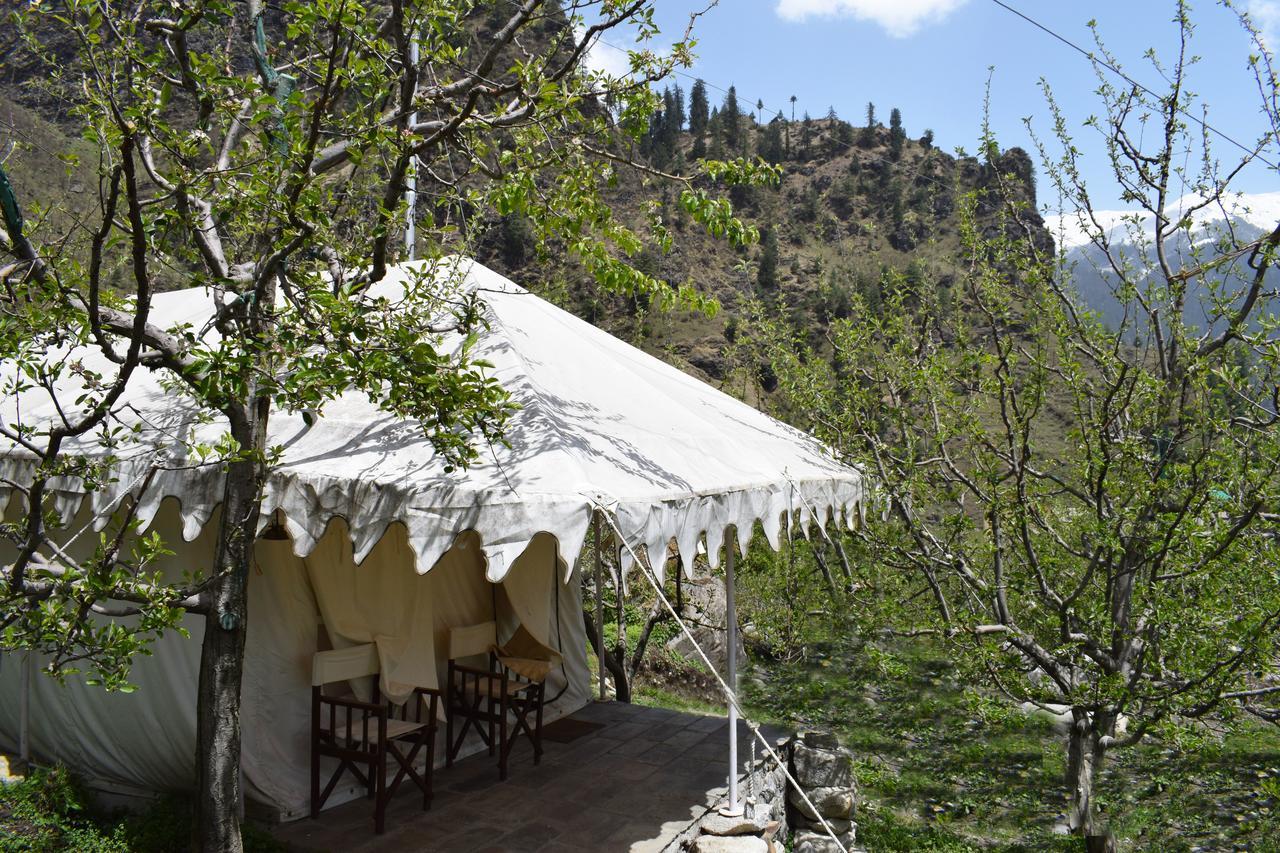 Sky One Ski Resort By One Hotels - Manali (Himachal Pradesh) — Photos 3